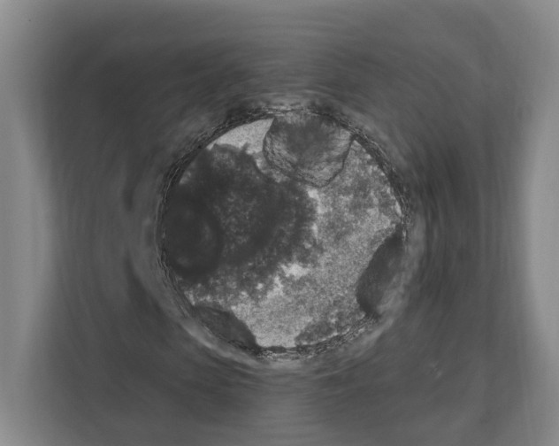 X0000111830913200909031510