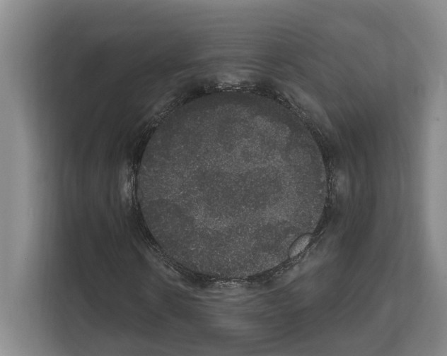 X0000111830914200909031510
