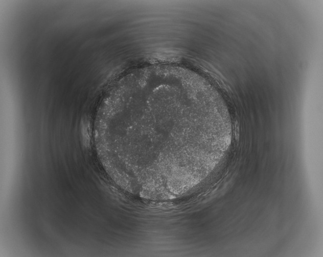 X0000111830915200909031510