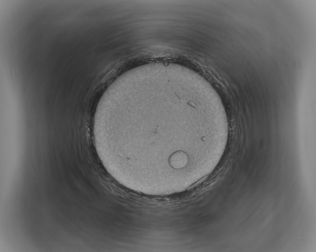 X0000111830916200909031510