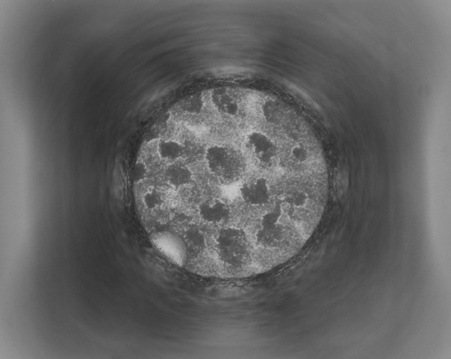 X0000111830917200909031510