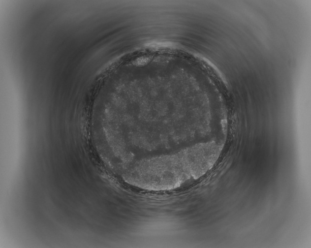 X0000111830919200909031510