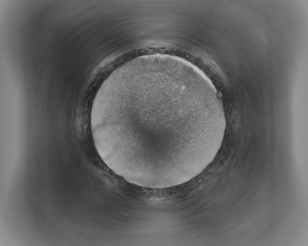 X0000111830920200909031510