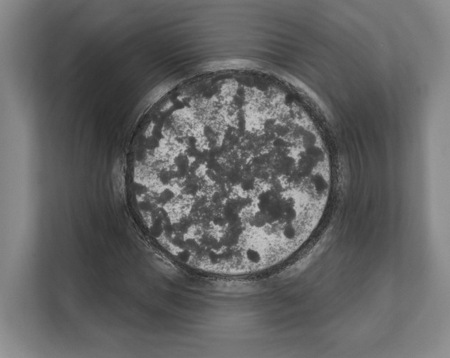 X0000111830921200909031510