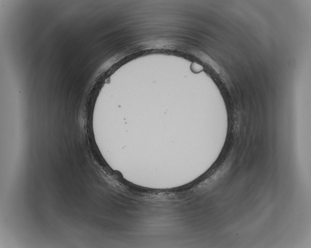 X0000111830922200909031510
