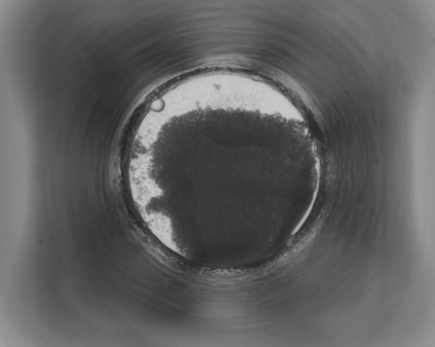 X0000111830923200909031510