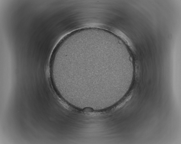 X0000111830924200909031510