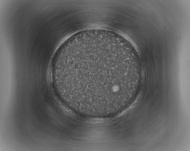 X0000111830925200909031510