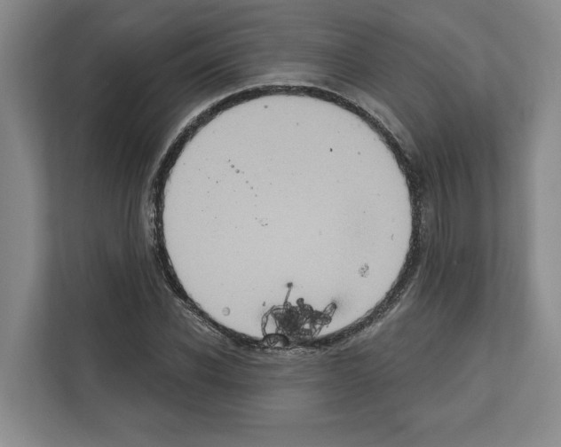 X0000111830926200909031510