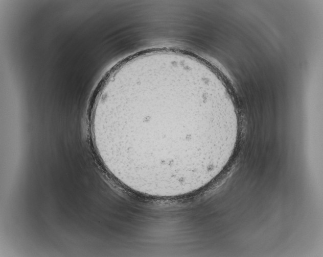 X0000111830927200909031510