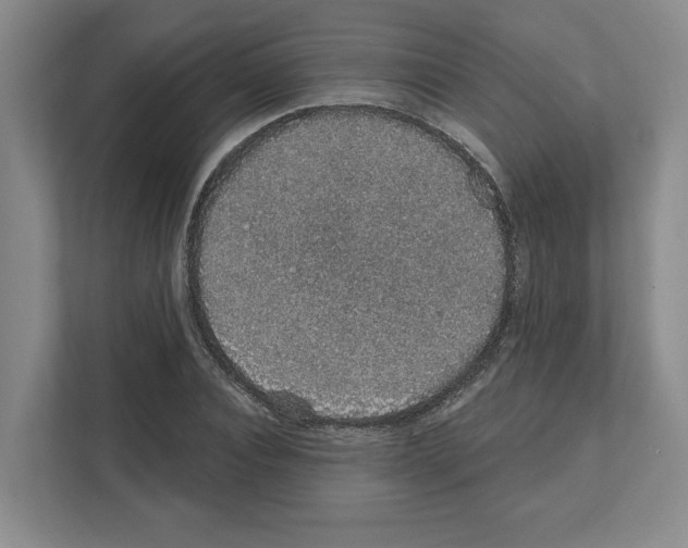 X0000111830928200909031510