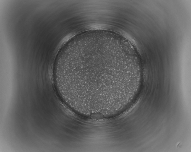 X0000111830930200909031510