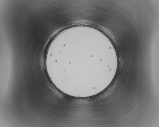 X0000111830931200909031510