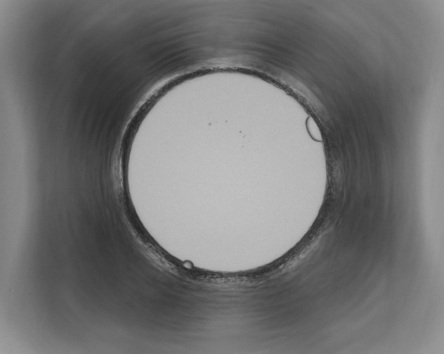 X0000111830934200909031510