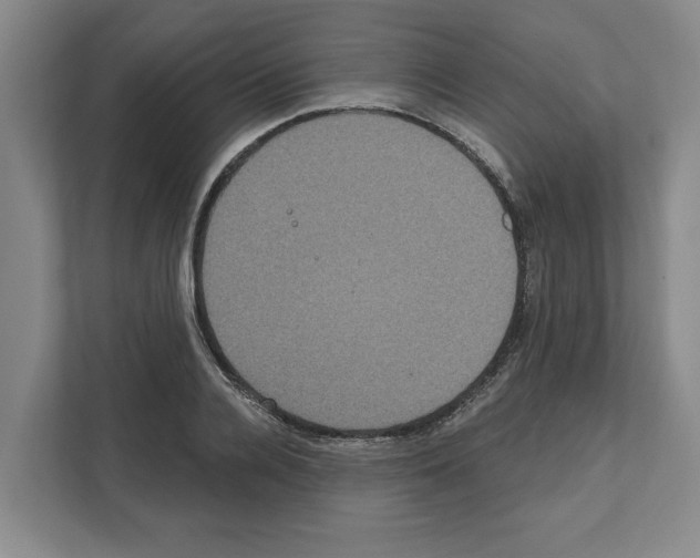 X0000111830936200909031510