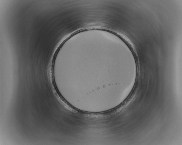X0000111830941200909031510