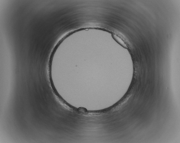 X0000111830942200909031510