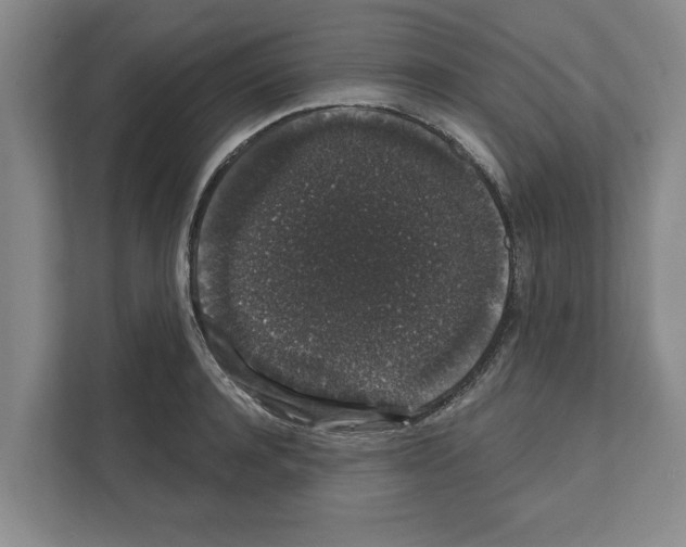 X0000111830944200909031510
