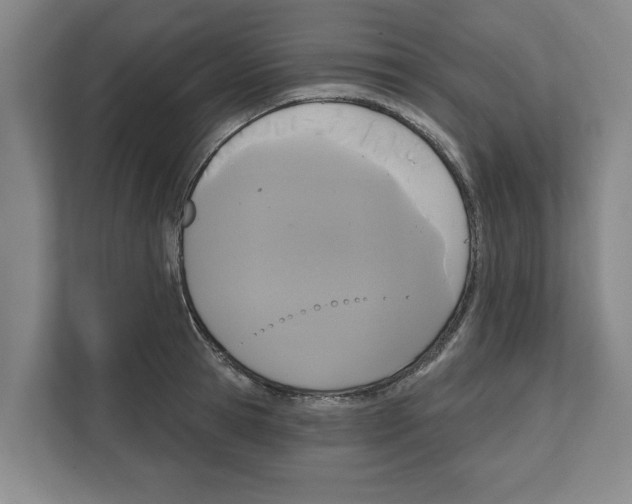 X0000111830945200909031511