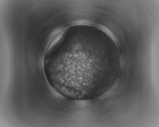X0000111830946200909031511