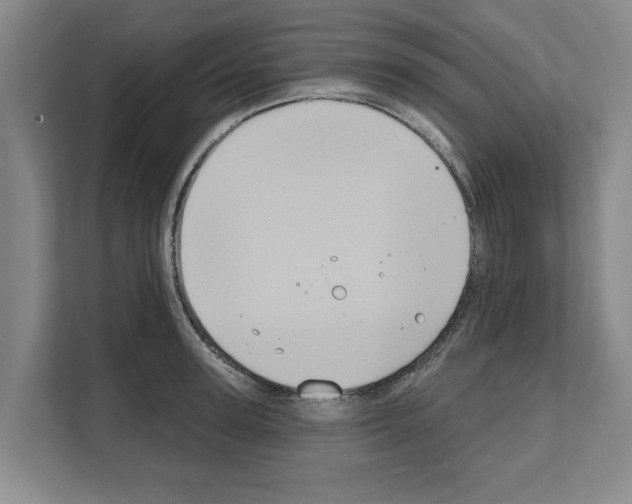 X0000111830947200909031511