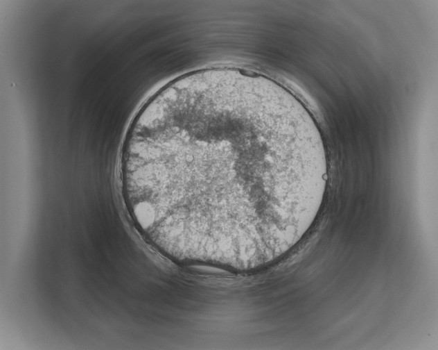 X0000111830948200909031511