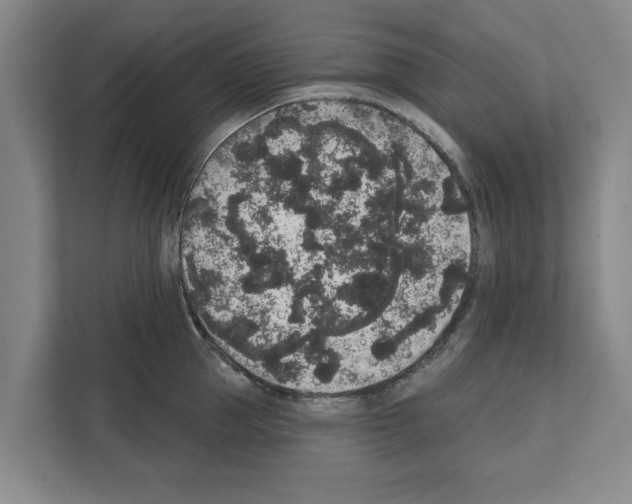 X0000111830953200909031511