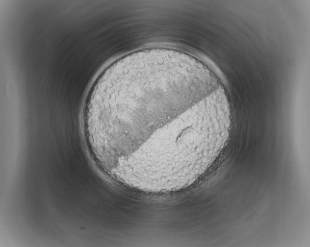 X0000111830955200909031511