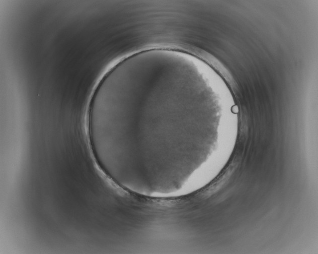 X0000111830958200909031511