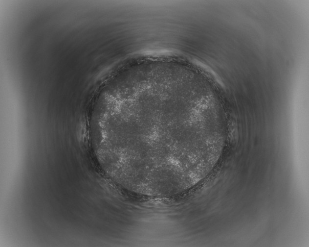 X0000111830966200909031510
