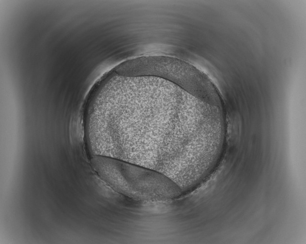 X0000111830973200909031510