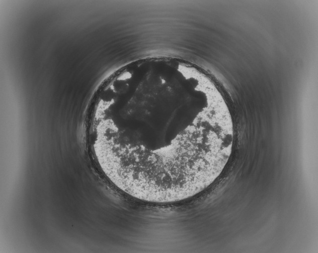 X0000111830975200909031510