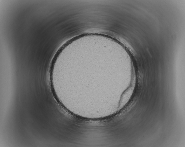 X0000111830976200909031510