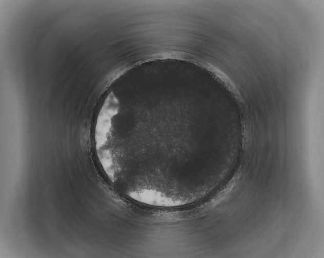 X0000111830977200909031510