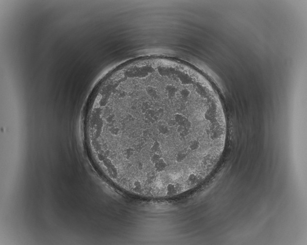 X0000111830983200909031510