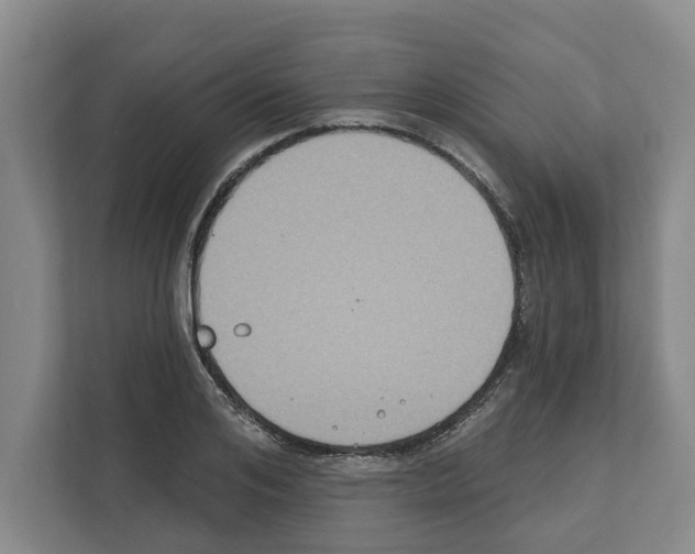 X0000111830984200909031510