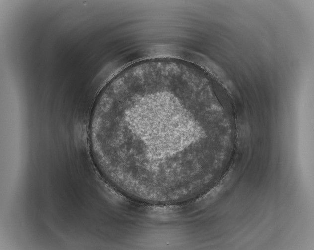 X0000111830985200909031510