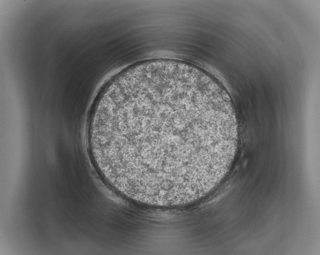 X0000111830987200909031510