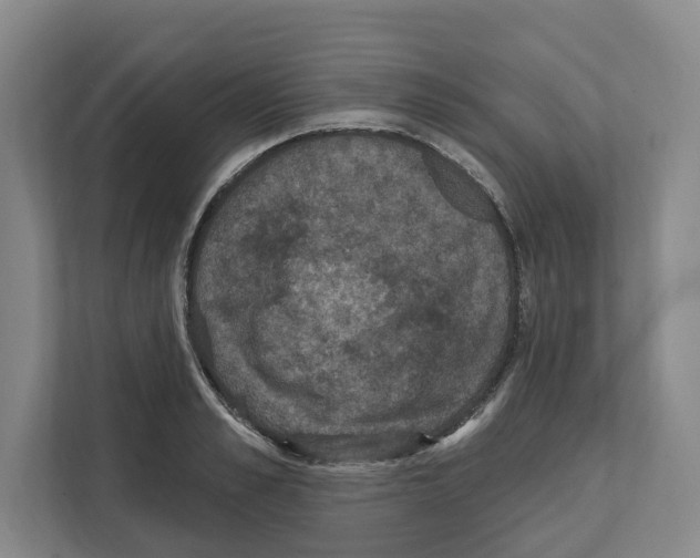X0000111830989200909031510
