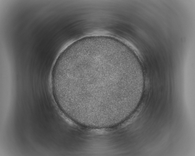 X0000111830990200909031510