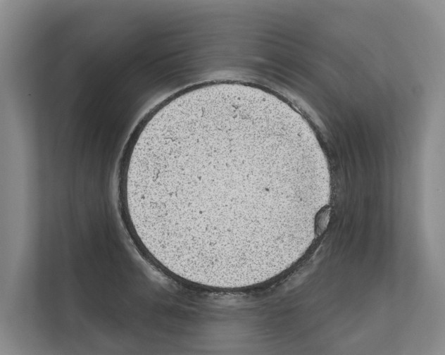 X0000111830991200909031510
