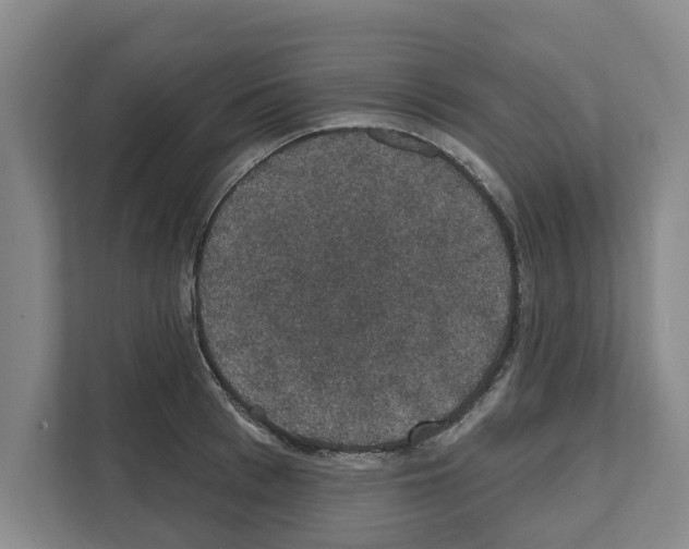 X0000111830993200909031510