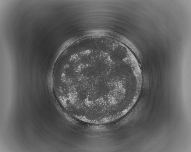 X0000111830994200909031510