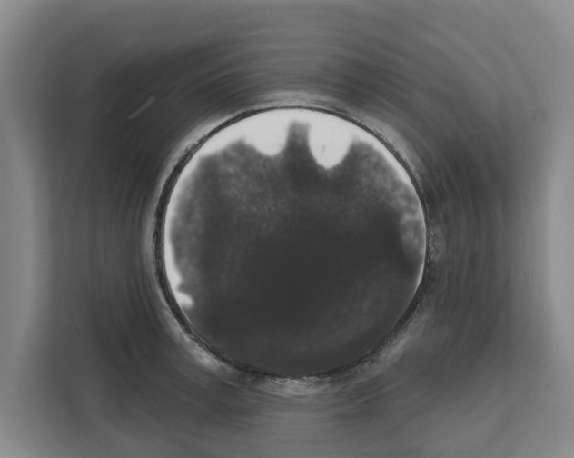 X0000111830995200909031510