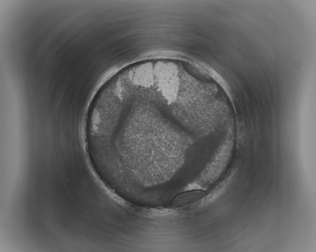 X0000111830997200909031510