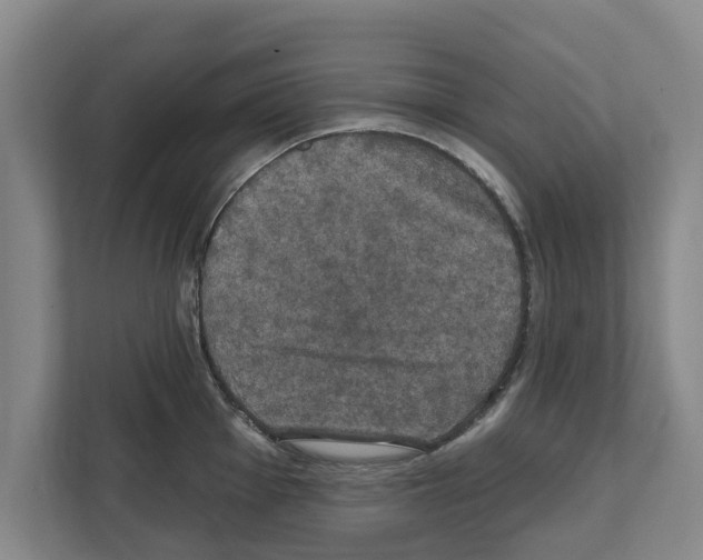 X0000111831001200909031510