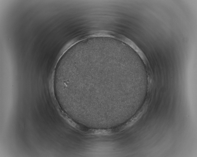 X0000111831002200909031510