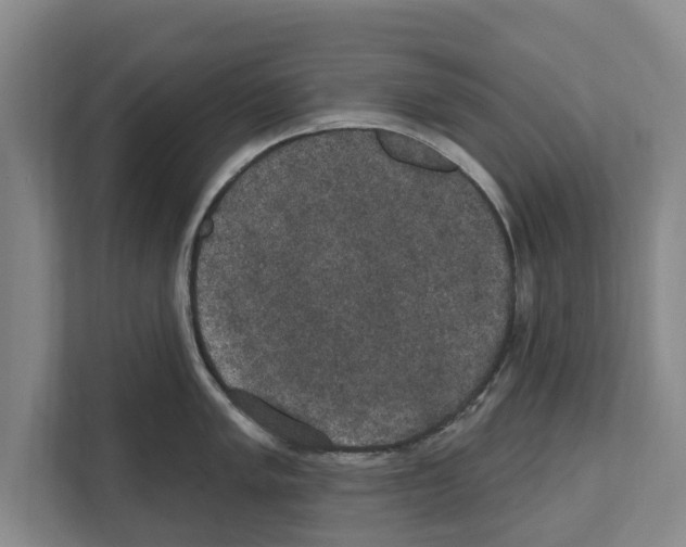 X0000111831005200909031509