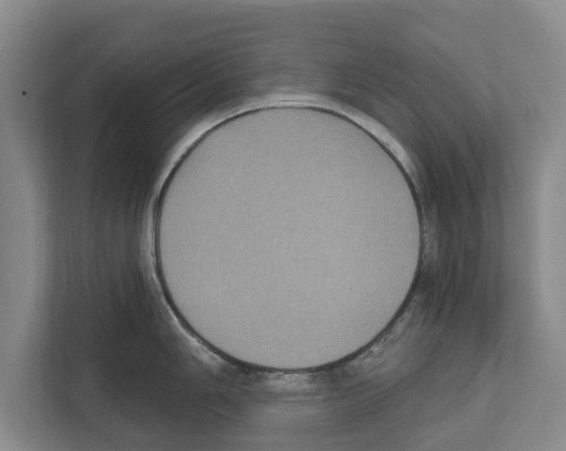 X0000111831006200909031509