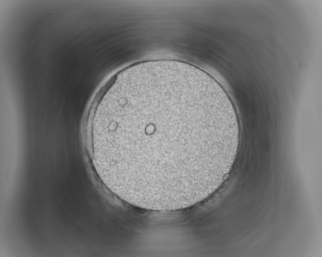 X0000111831008200909031509